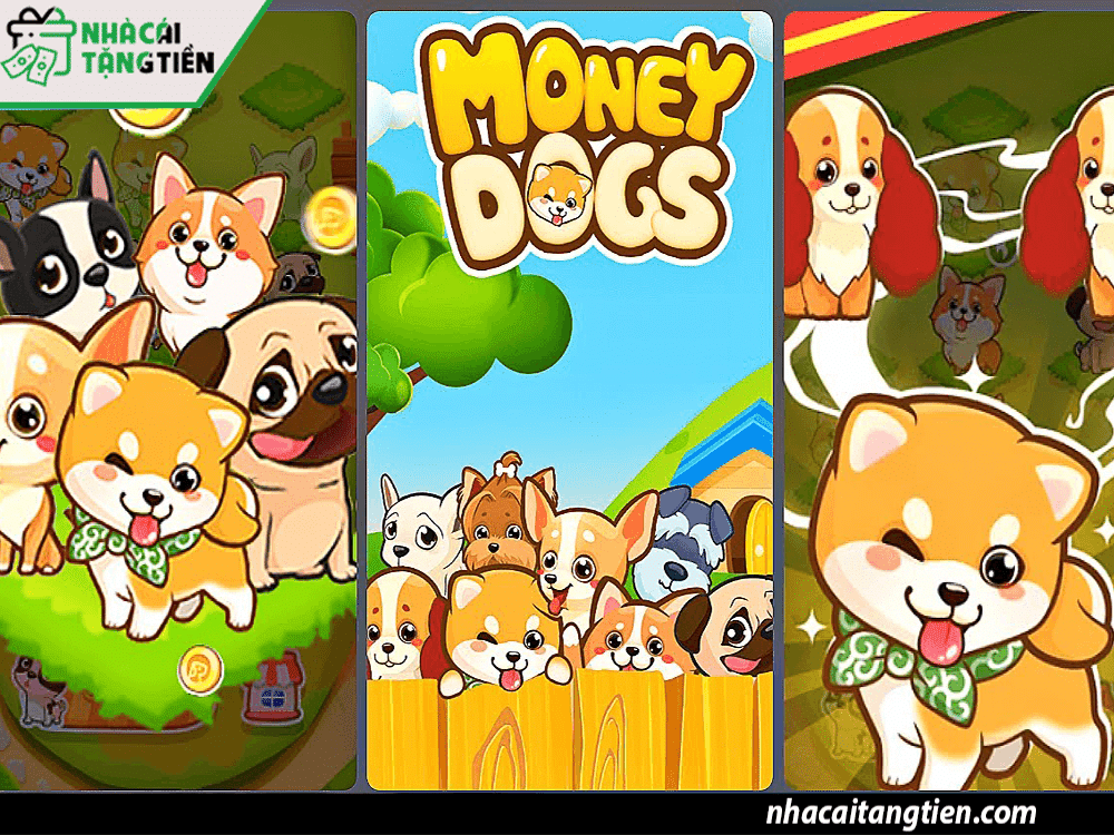 Money Dog - App chơi game kiếm tiền đặc sắc