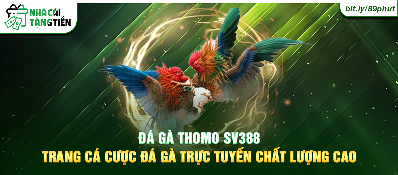 Đá Gà Thomo SV388 - Trang cá cược đá gà trực tuyến chất lượng cao.