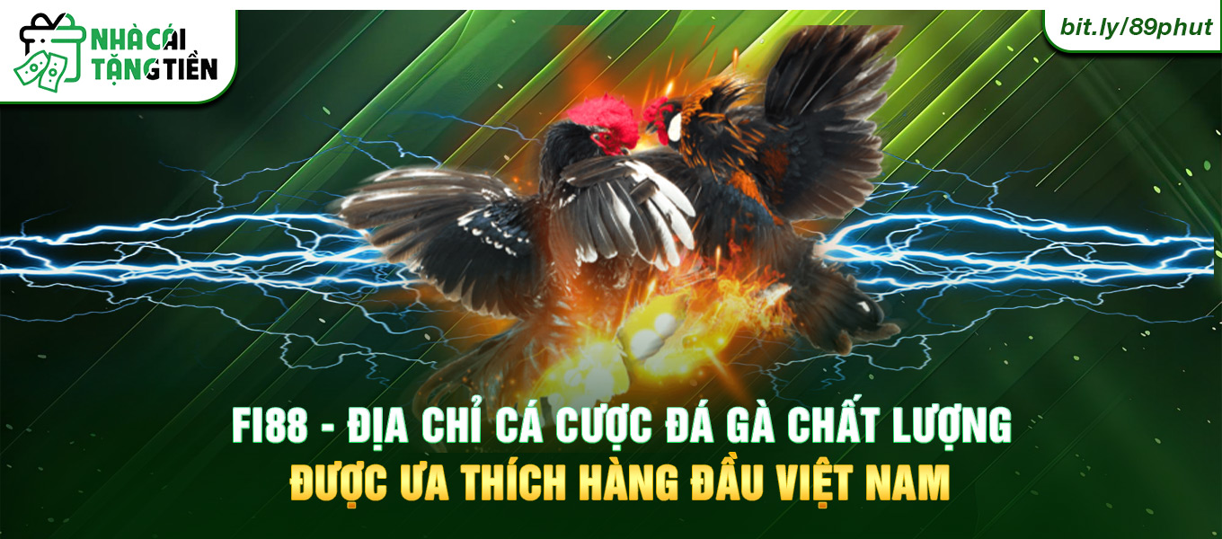 Fi88 - Địa chỉ cá cược đá gà chất lượng, được ưa thích hàng đầu Việt Nam.