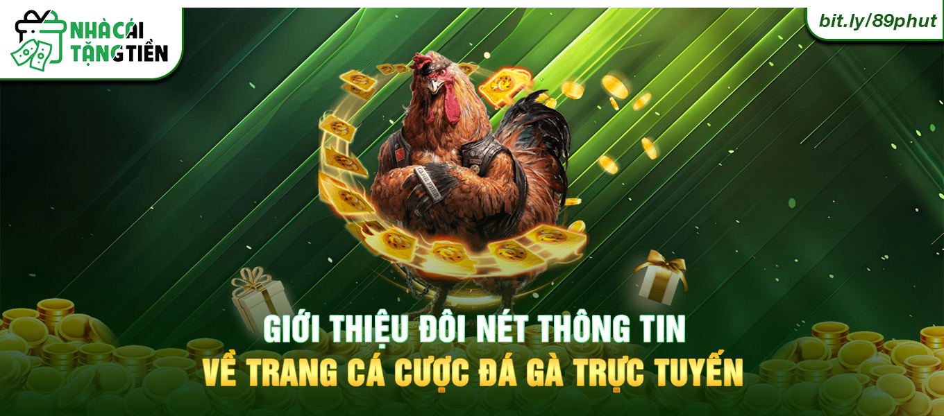 Giới thiệu đôi nét thông tin về trang cá cược đá gà trực tuyến.