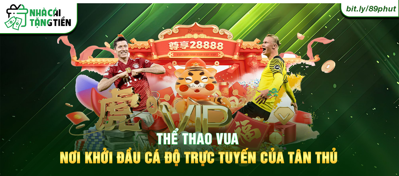 Thể thao vua nơi khởi đầu cá độ trực tuyến của tân thủ