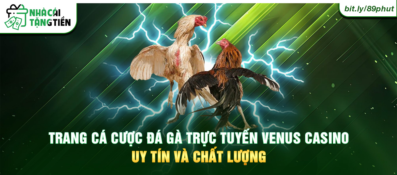 Trang cá cược đá gà trực tuyến Venus Casino uy tín và chất lượng.